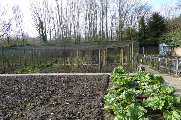 Supporting image: Group and corporate volunteering Supporting image: Group and corporate volunteering