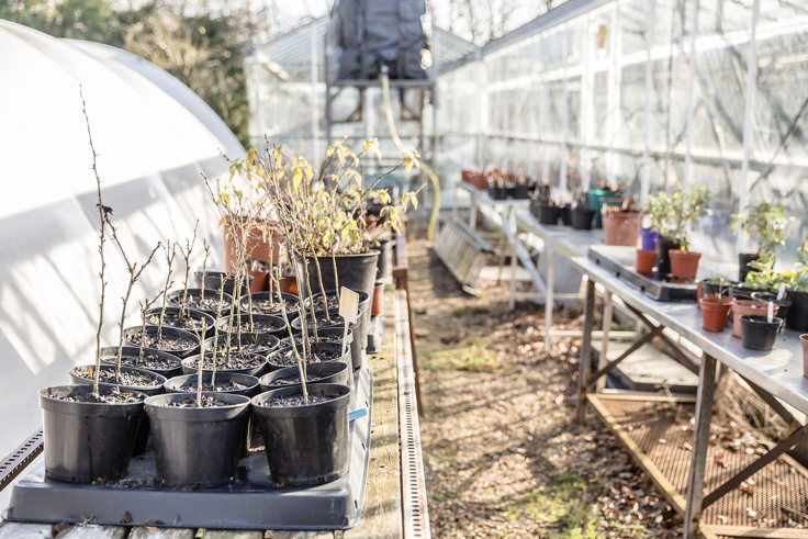 Plant pots Plant pots