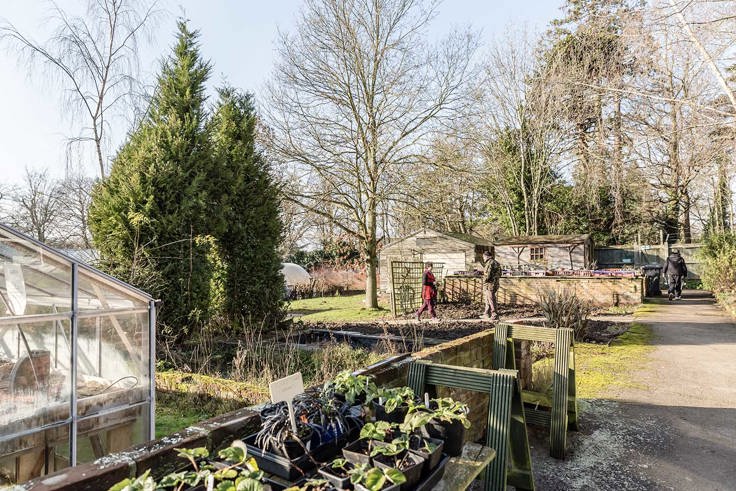 Webbs Garden Webbs Garden