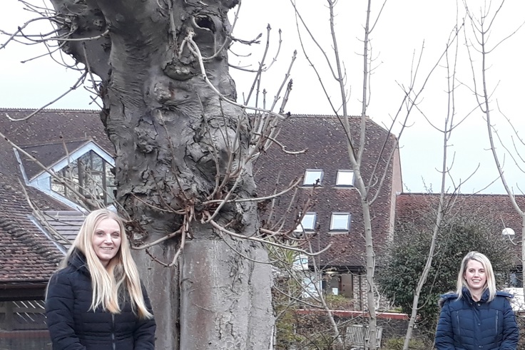 Supporting image: The NHS Forest continues to grow with the help of KMPT! Supporting image: The NHS Forest continues to grow with the help of KMPT!