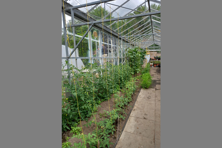 Supporting image: Health, Heart, Hope: Kent and Medway NHS launch new charity on World Mental Health Day Supporting image: Health, Heart, Hope: Kent and Medway NHS launch new charity on World Mental Health Day