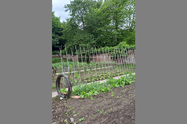 Supporting image: Health, Heart, Hope: Kent and Medway NHS launch new charity on World Mental Health Day Supporting image: Health, Heart, Hope: Kent and Medway NHS launch new charity on World Mental Health Day