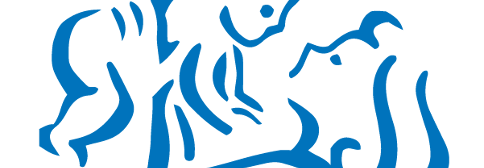 Perinatal Mental Health Community Service (PMHCS)