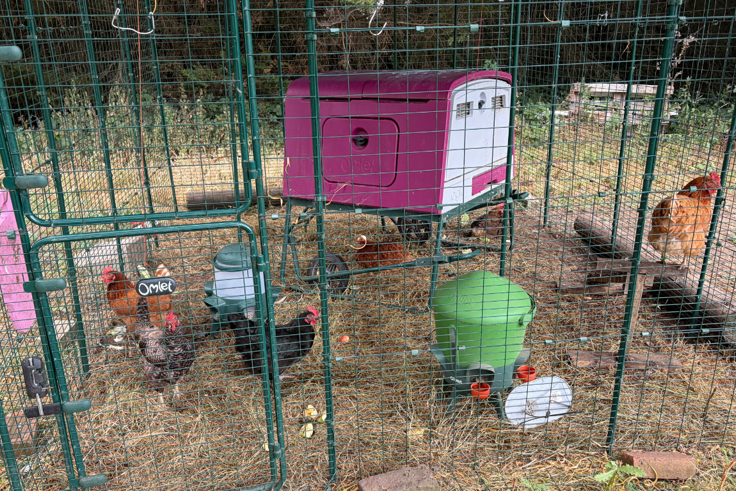 Supporting image: New therapeutic gardening project supports mental health patients in Kent and Medway Supporting image: New therapeutic gardening project supports mental health patients in Kent and Medway