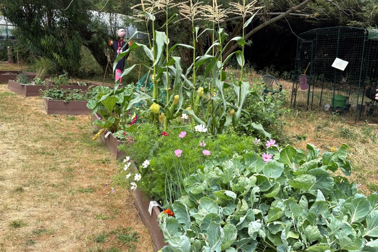 Supporting image: New therapeutic gardening project supports mental health patients in Kent and Medway Supporting image: New therapeutic gardening project supports mental health patients in Kent and Medway