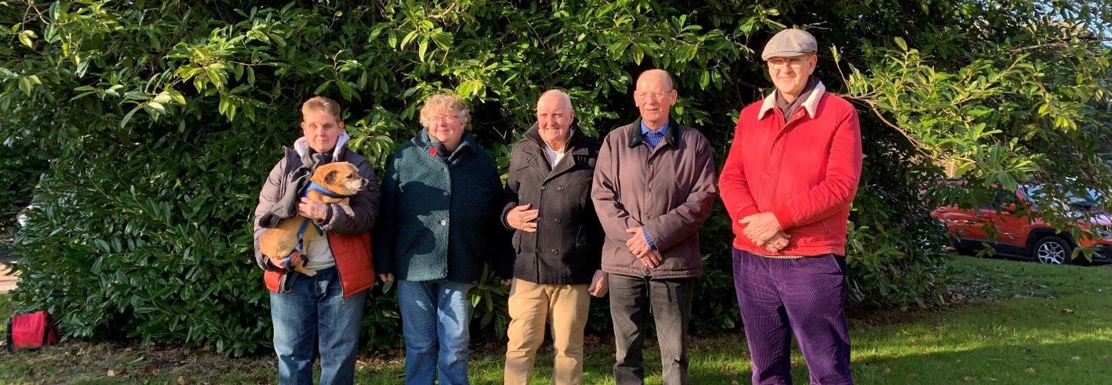 Dementia envoys