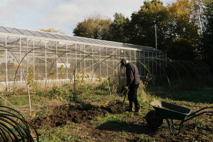 Supporting image: Webbs Garden Supporting image: Webbs Garden