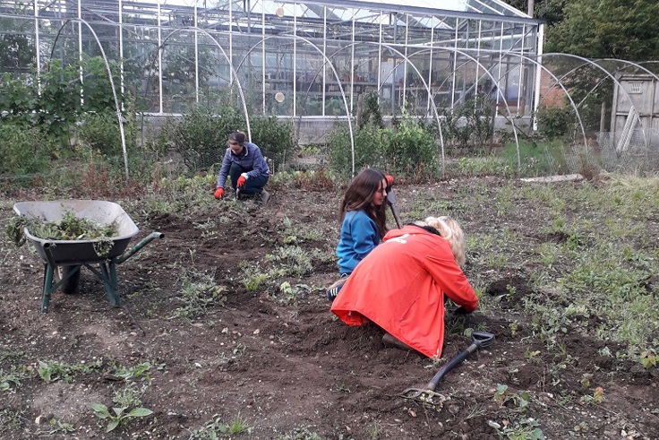 Supporting image: Group and corporate volunteering Supporting image: Group and corporate volunteering