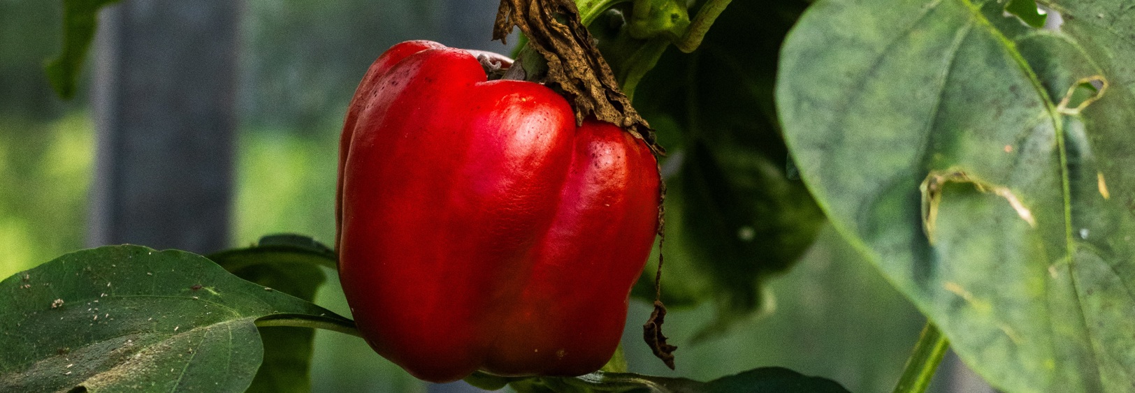 Contact and register