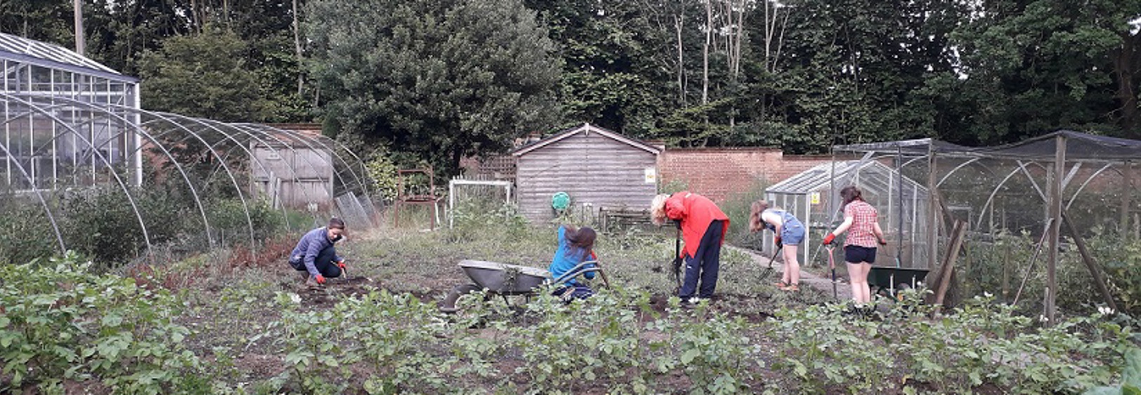Group and corporate volunteering