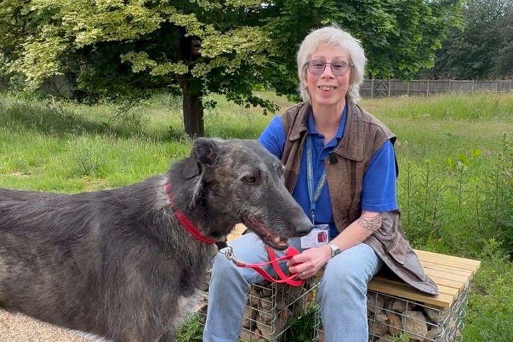 Supporting image: Kent and Medway named top NHS trust for volunteering